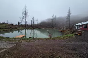 10855 Kubin Rd SE, Lyons, OR 97358 - Photo 9