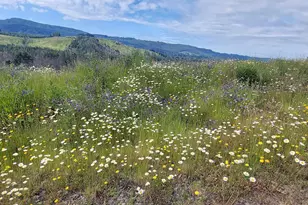 10855 Kubin Rd SE, Lyons, OR 97358 - Photo 13