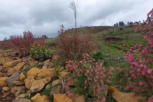 10855 Kubin Rd SE, Lyons, OR 97358 - Photo 13