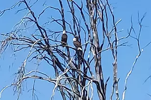 10855 Kubin Rd SE, Lyons, OR 97358 - Photo 21