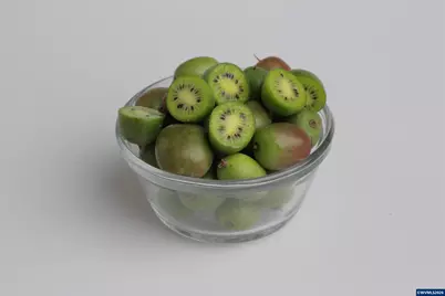 23301 &amp; 23220 McKibben Rd, Sheridan, OR 97378 - Photo 27