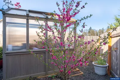 2926 Canter Av NE, Albany, OR 97321 - Photo 33
