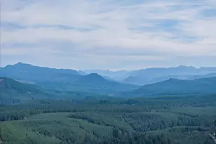 27579 Riggs Hill Rd, Sweet Home, OR 97345 - Photo 7