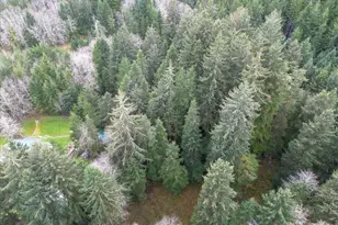 10840 Tillicum Lp, Neskowin, OR 97149 - Photo 13