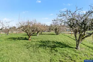 9915 Marquam Cir, Molalla, OR 97038 - Photo 45