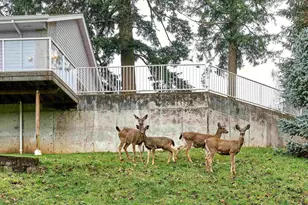 301 Edgewood Dr, Silverton, OR 97381 - Photo 3