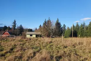 131 Sheldon Ave, Falls City, OR 97344 - Photo 1