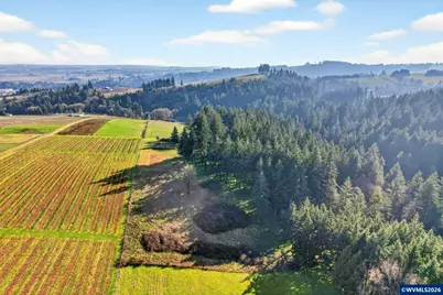 Ta 73066 NE Fox Ln, Dundee, OR 97115 - Photo 3