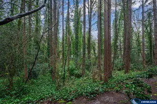 4000 Carman Dr, Lake Oswego, OR 97035 - Photo 27