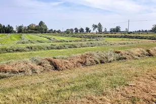 68499 Kunze Ln, Boardman, OR 97818 - Photo 5