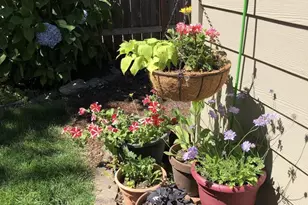 903 Eisenhower Dr NW, Salem, OR 97304 - Photo 35