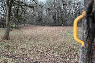 38979 Sodaville Waterloo Dr, Lebanon, OR 97355 - Photo 47