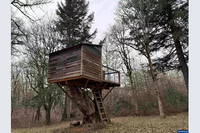 38979 Sodaville Waterloo Dr, Lebanon, OR 97355 - Photo 43