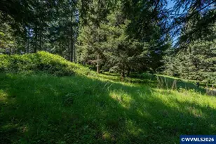 27800 Liberty Rd, Sweet Home, OR 97386 - Photo 49