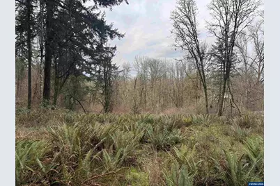 0 Shady Oak Rd NE, Albany, OR 97322 - Photo 9