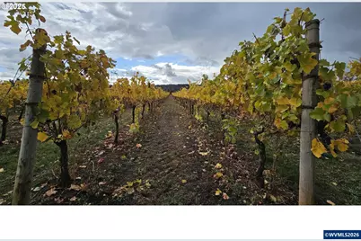 0 Pioneer Rd, Dallas, OR 97738 - Photo 17