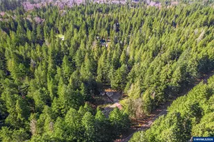 91638 Horse Creek Rd, McKenzie Bridge, OR 97413 - Photo 41