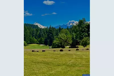 91638 Horse Creek Rd, McKenzie Bridge, OR 97413 - Photo 47