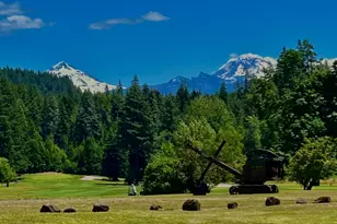 91638 Horse Creek Rd, McKenzie Bridge, OR 97413 - Photo 47