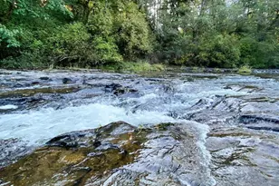 16343 Haven Acres Ln NE, Silverton, OR 97381 - Photo 5