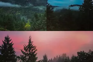 16343 Haven Acres Ln NE, Silverton, OR 97381 - Photo 37