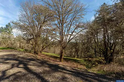 33941 Marys River Estates Rd, Philomath, OR 97370 - Photo 45