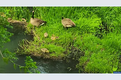 2055 SE Oak Crest Dr Dr, Hillsboro, OR 97123 - Photo 43