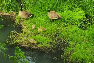 2055 SE Oak Crest Dr Dr, Hillsboro, OR 97123 - Photo 43