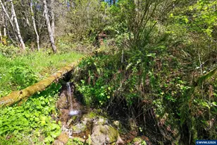 38775 Golden Valley Dr, Lebanon, OR 97355 - Photo 33