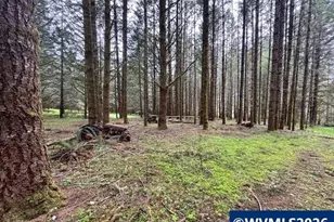 23939 Raze Rd, Elmira, OR 97437 - Photo 37