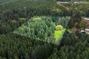 23939 Raze Rd, Elmira, OR 97437 - Photo 39
