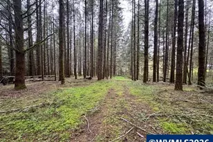 23939 Raze Rd, Elmira, OR 97437 - Photo 41