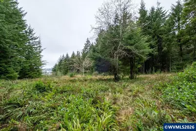 (Next To) 120 NE Waldport Heights Dr, Waldport, OR 97394 - Photo 13
