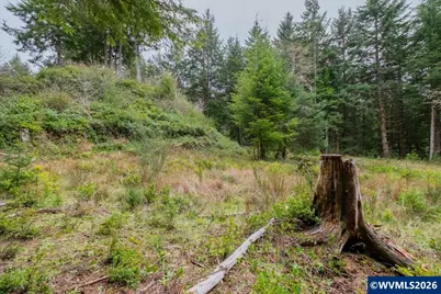 (Next To) 120 NE Waldport Heights Dr, Waldport, OR 97394 - Photo 5