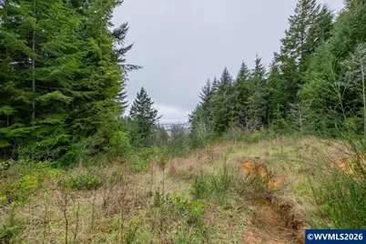 (Next To) 120 NE Waldport Heights Dr, Waldport, OR 97394 - Photo 7