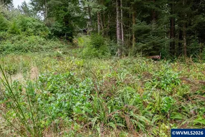 (Next To) 120 NE Waldport Heights Dr, Waldport, OR 97394 - Photo 15