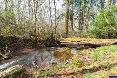 41348 Kingston Lyons Dr SE, Stayton, OR 97383 - Photo 39