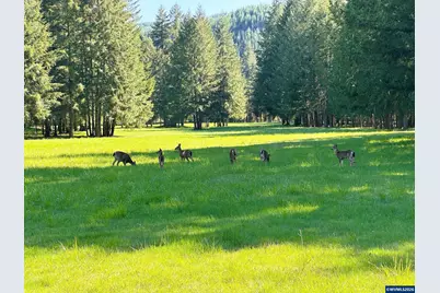 753253 Mosby Creek Rd, Cottage Grove, OR 97424 - Photo 9