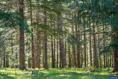 753253 Mosby Creek Rd, Cottage Grove, OR 97424 - Photo 43