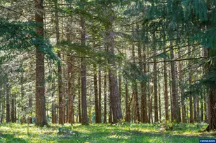 753253 Mosby Creek Rd, Cottage Grove, OR 97424 - Photo 43