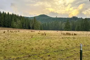 753253 Mosby Creek Rd, Cottage Grove, OR 97424 - Photo 47