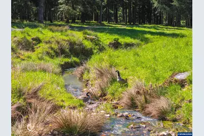 753253 Mosby Creek Rd, Cottage Grove, OR 97424 - Photo 33