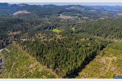 753253 Mosby Creek Rd, Cottage Grove, OR 97424 - Photo 41