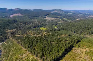 753253 Mosby Creek Rd, Cottage Grove, OR 97424 - Photo 41