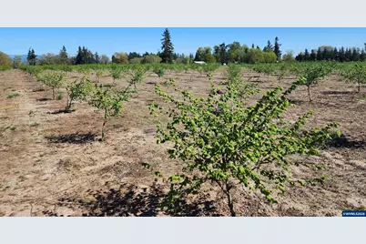 36501 Gilkey Rd, Scio, OR 97374 - Photo 7