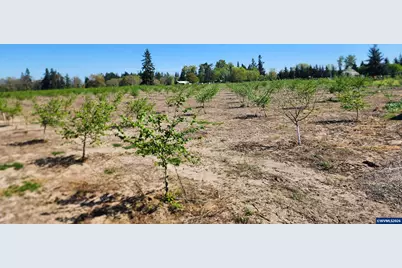 36501 Gilkey Rd, Scio, OR 97374 - Photo 5