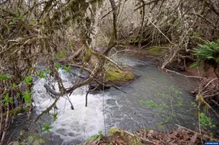 26630 SW Thomson Mill Rd, Sheridan, OR 97378 - Photo 35