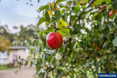 2398 Cole Rd S, Salem, OR 97306 - Photo 37