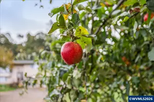 2398 Cole Rd S, Salem, OR 97306 - Photo 37