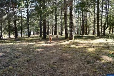 27494 S Boundary Rd, Corvallis, OR 97330 - Photo 39